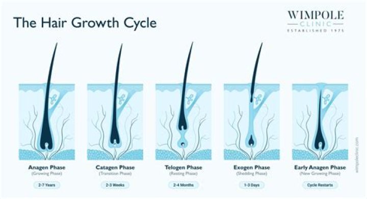 Does Kyleena cause hair growth?