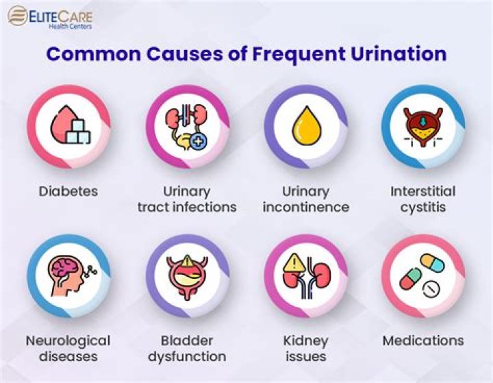 Does lemon cause frequent urination?