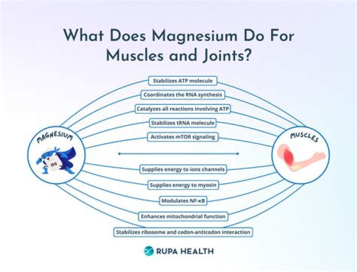 Does magnesium help clear arteries?