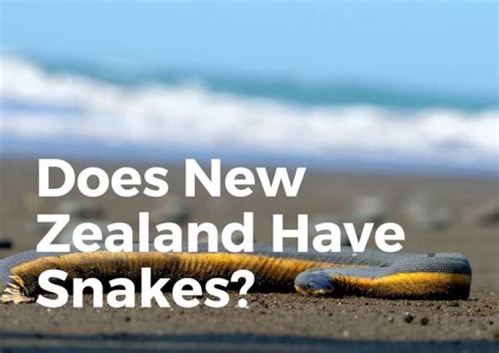 Does New Zealand have snakes?