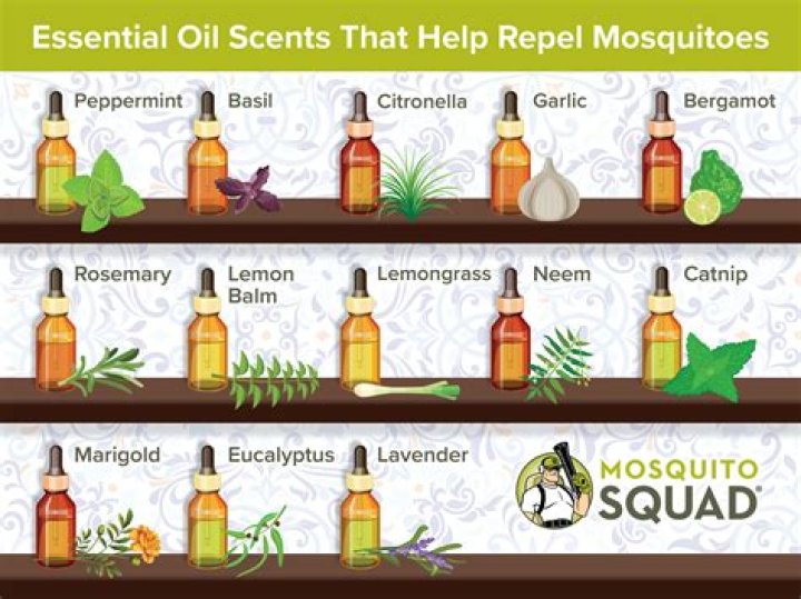 Does peppermint oil repel ticks and mosquitoes?