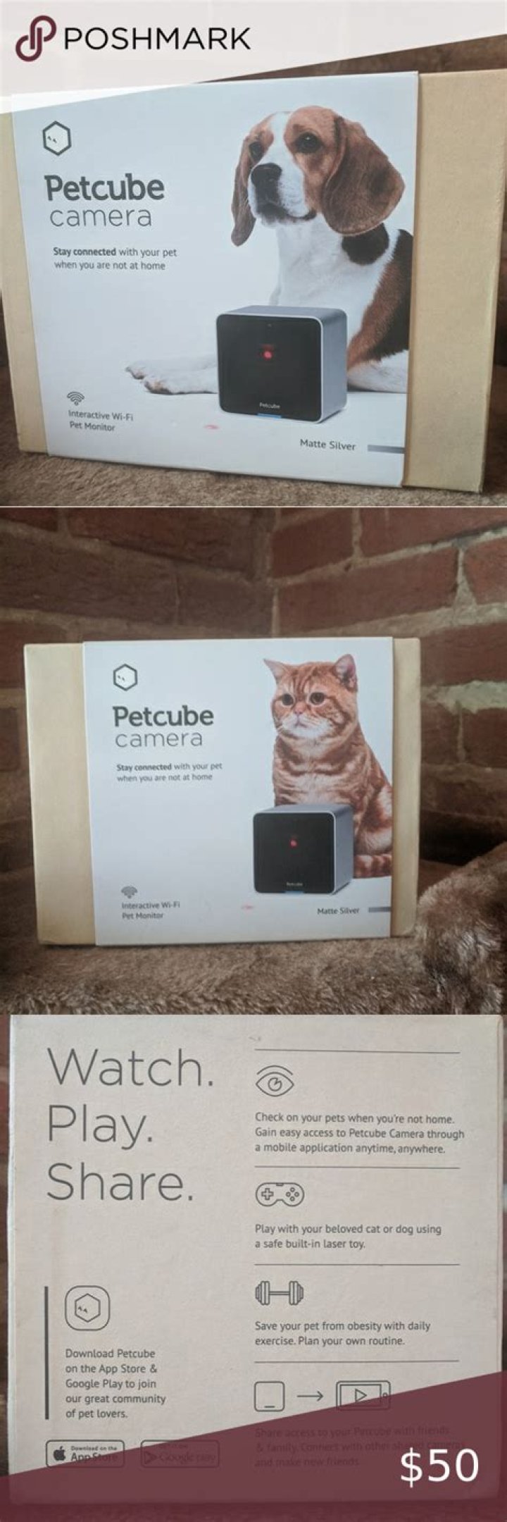 Does Petcube record sound?