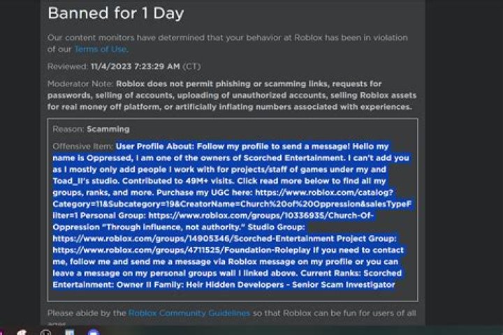 Does report abuse work on Roblox?