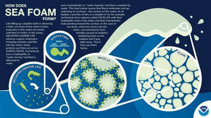 Does Sea Foam increase gas mileage?