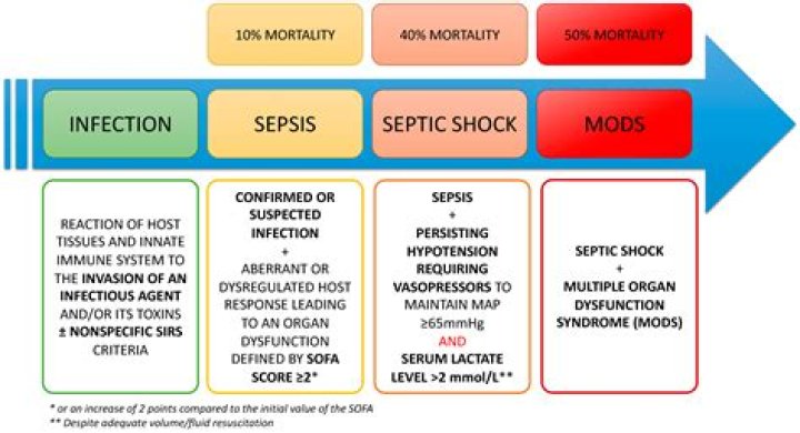 Does sepsis cause long-term damage?