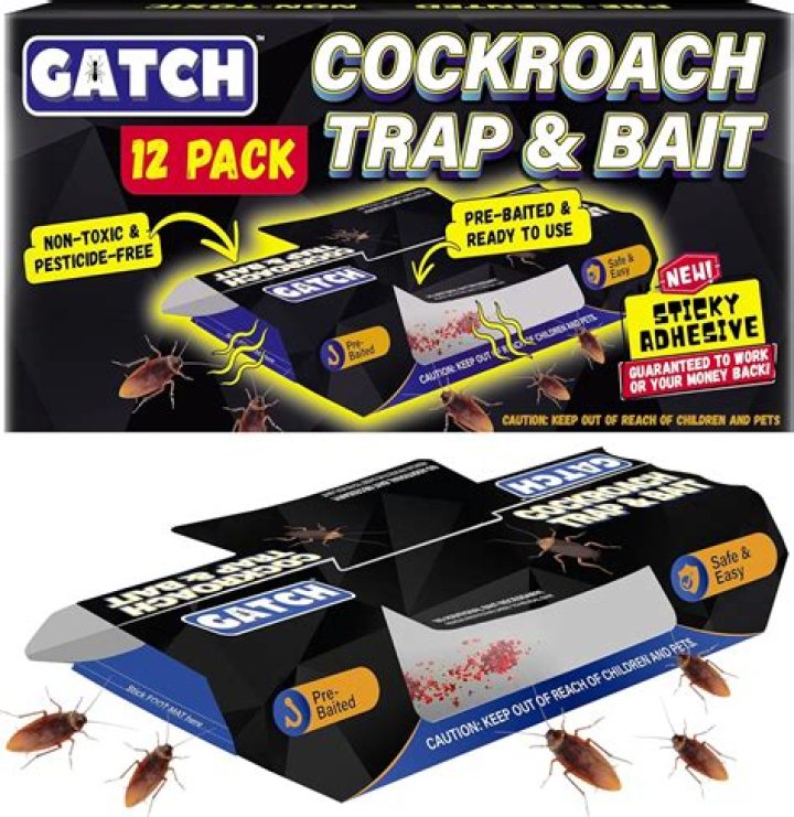 Does smashing cockroaches attract more?
