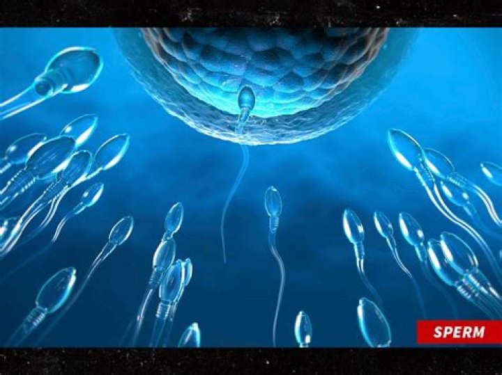 Does sperm make a yeast infection worse?