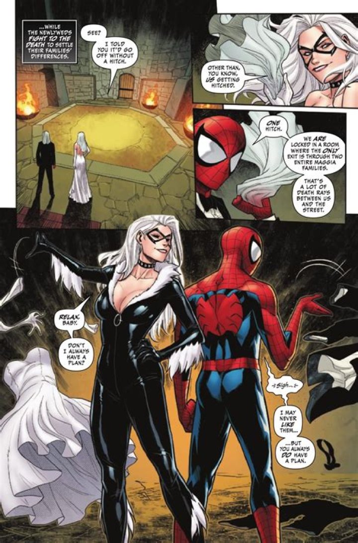 Does Spider-Man married Black Cat?