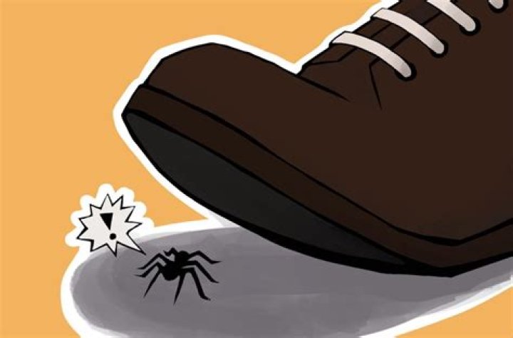 Does squishing a spider attract more?