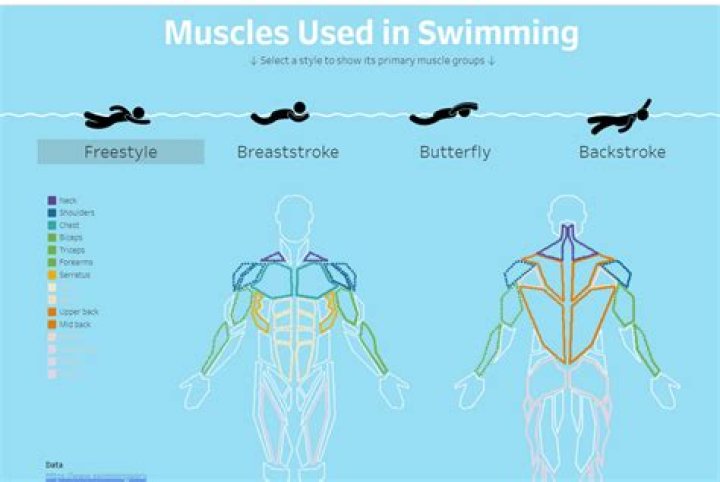 Does swimming make you flabby?