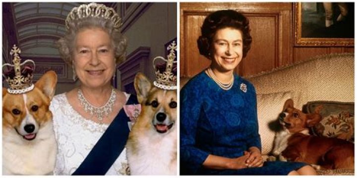 Does the Queen like cats?