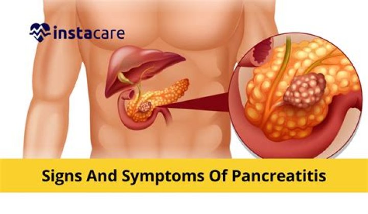 Does turmeric help the pancreas?