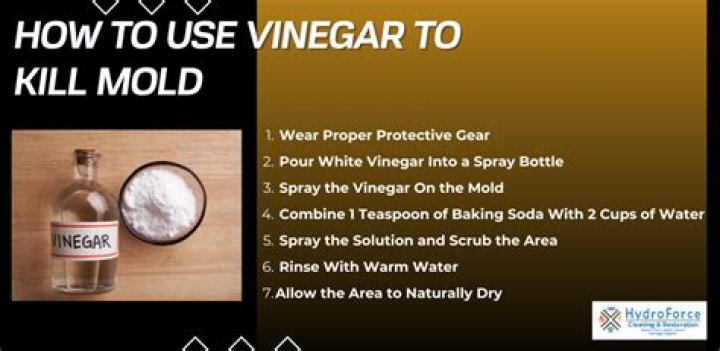 Does vinegar make mold worse?