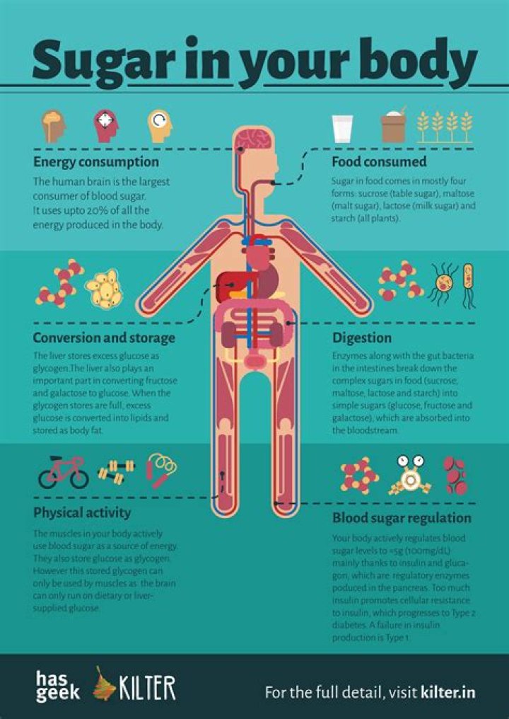 Does whiskey turn into sugar in body?