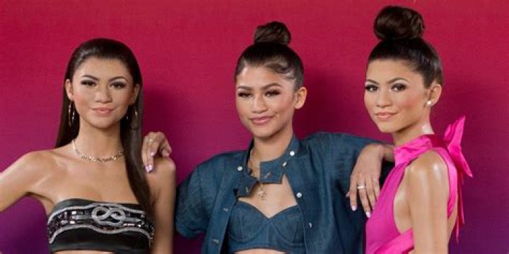 Does Zendaya have any twins?
