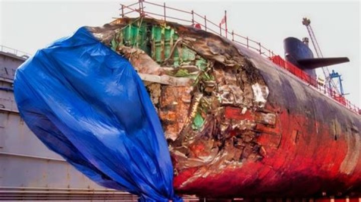 Has a submarine ever hit a whale?
