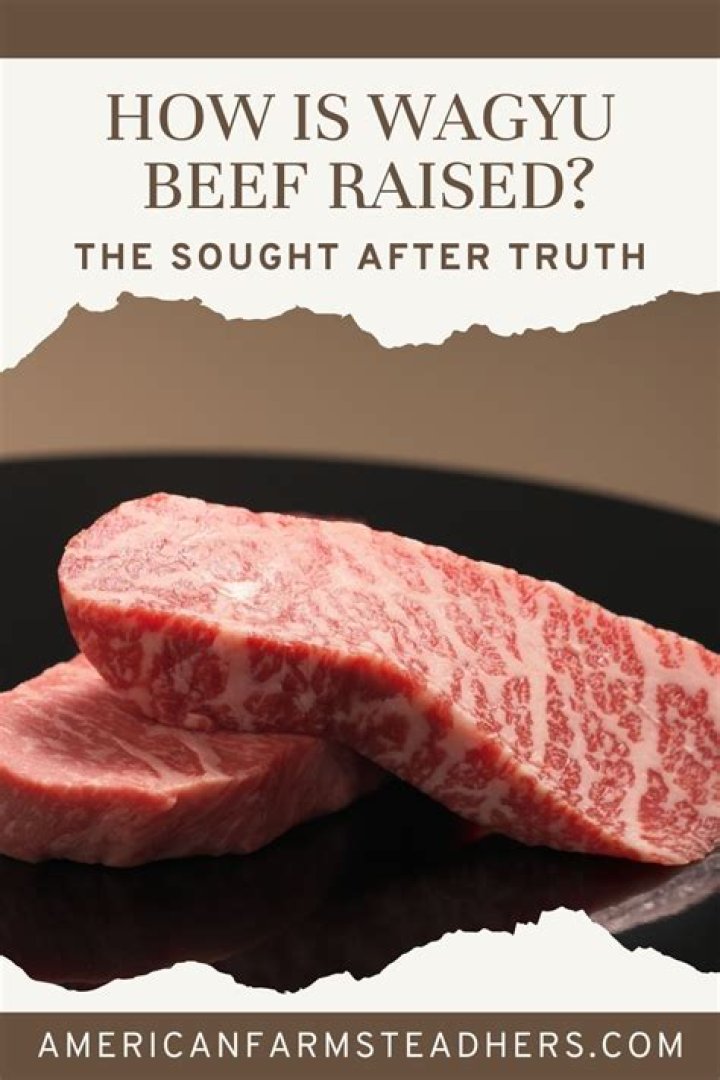 How are Wagyu cows raised?