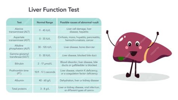 How can I improve my liver and kidney function?