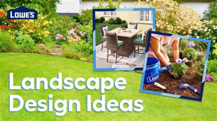 How can I make my backyard nice?