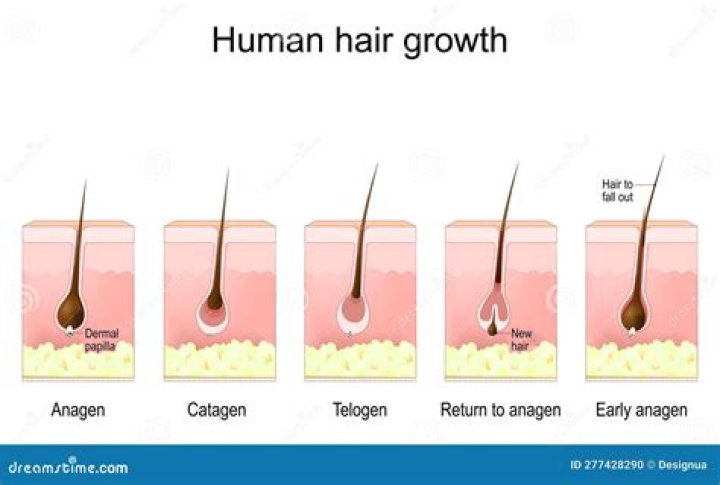 How can I stop my leg hair permanently growing naturally?