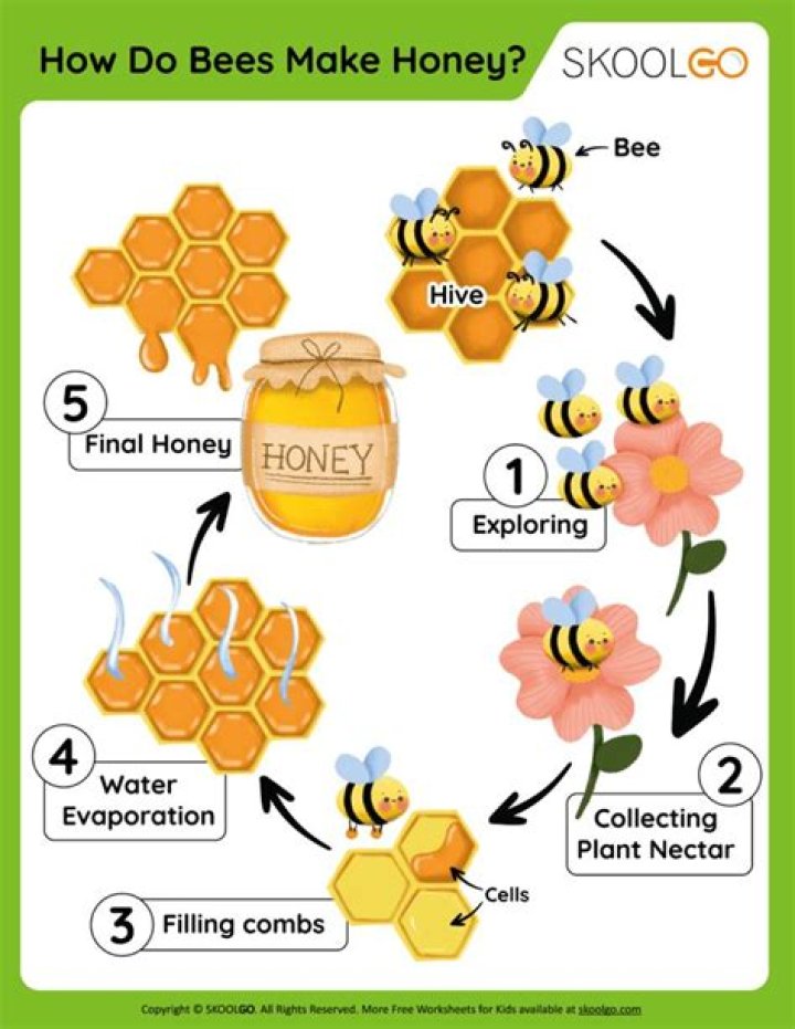 How can I use honey in the morning?