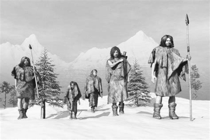 How did humans survive the ice age?