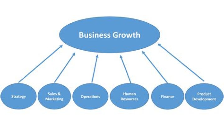 How do businesses grow?