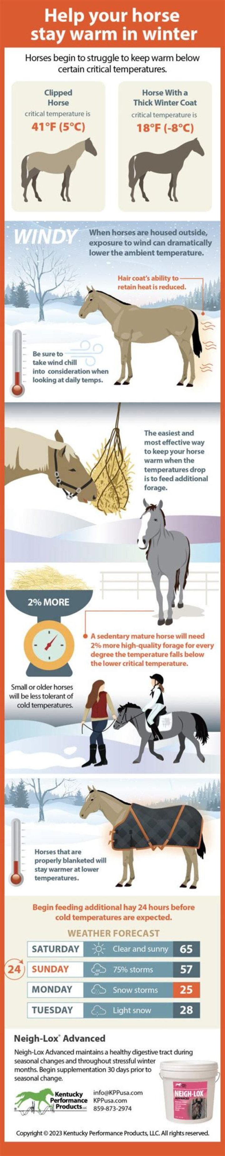 How do horses stay warm in the snow?