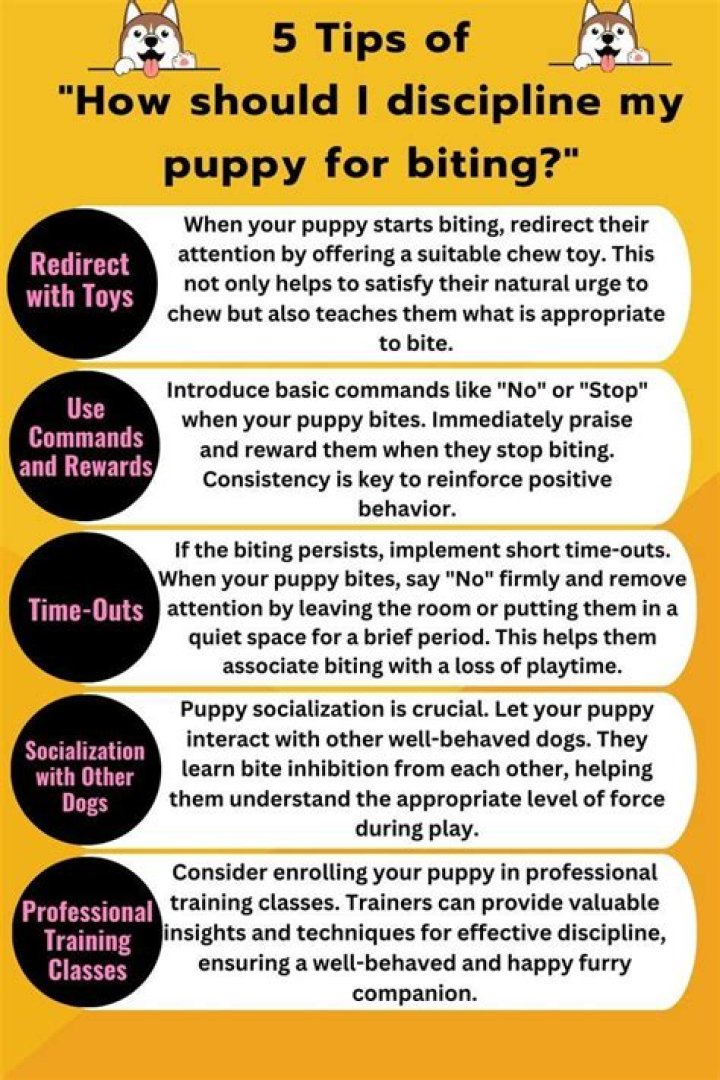 How do I discipline my puppy for biting?