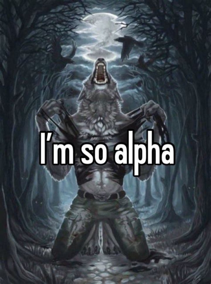 How do I ensure I am the Alpha with my dog?