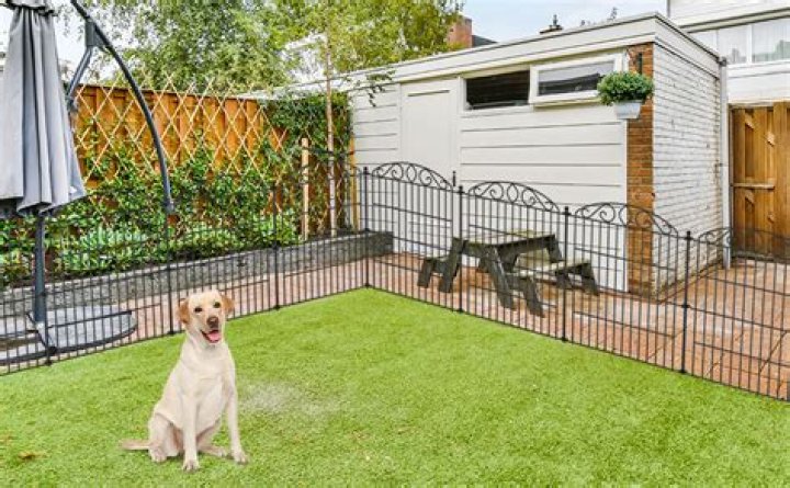 How do I get my dog to stop barking at the back fence?