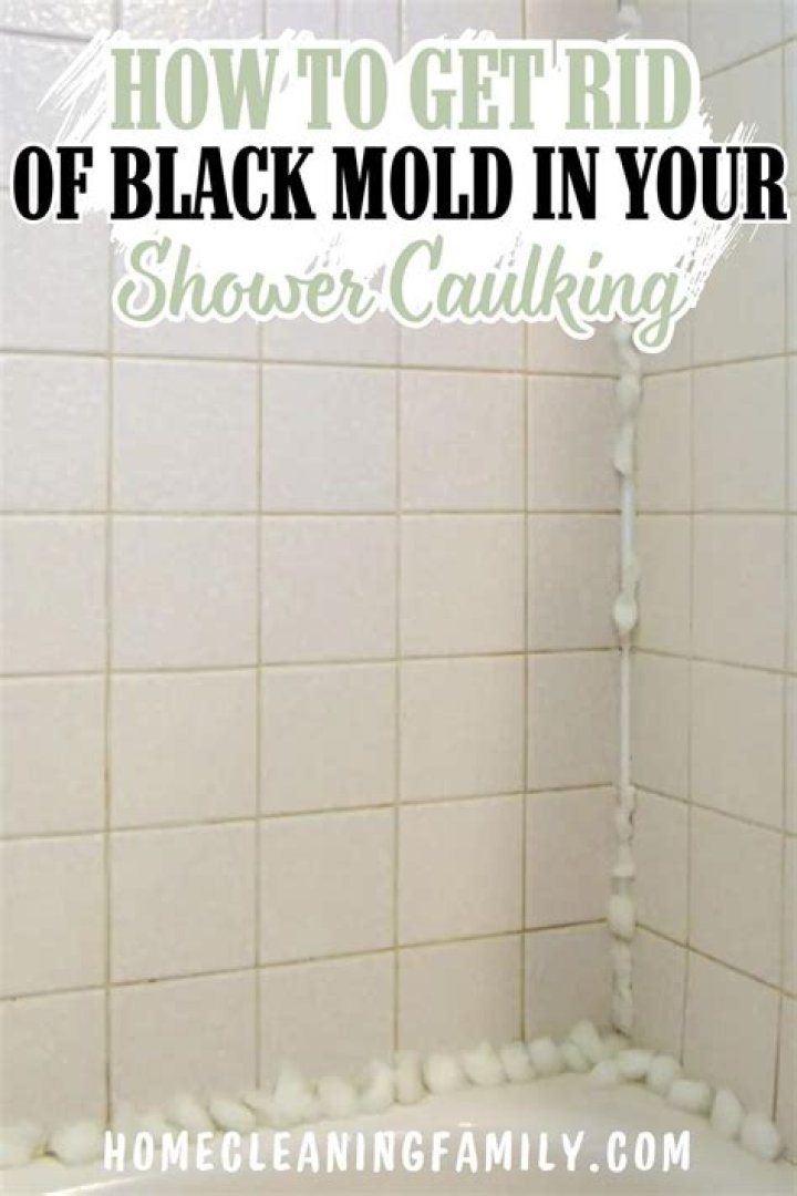 How do I get rid of black mold in the shower?