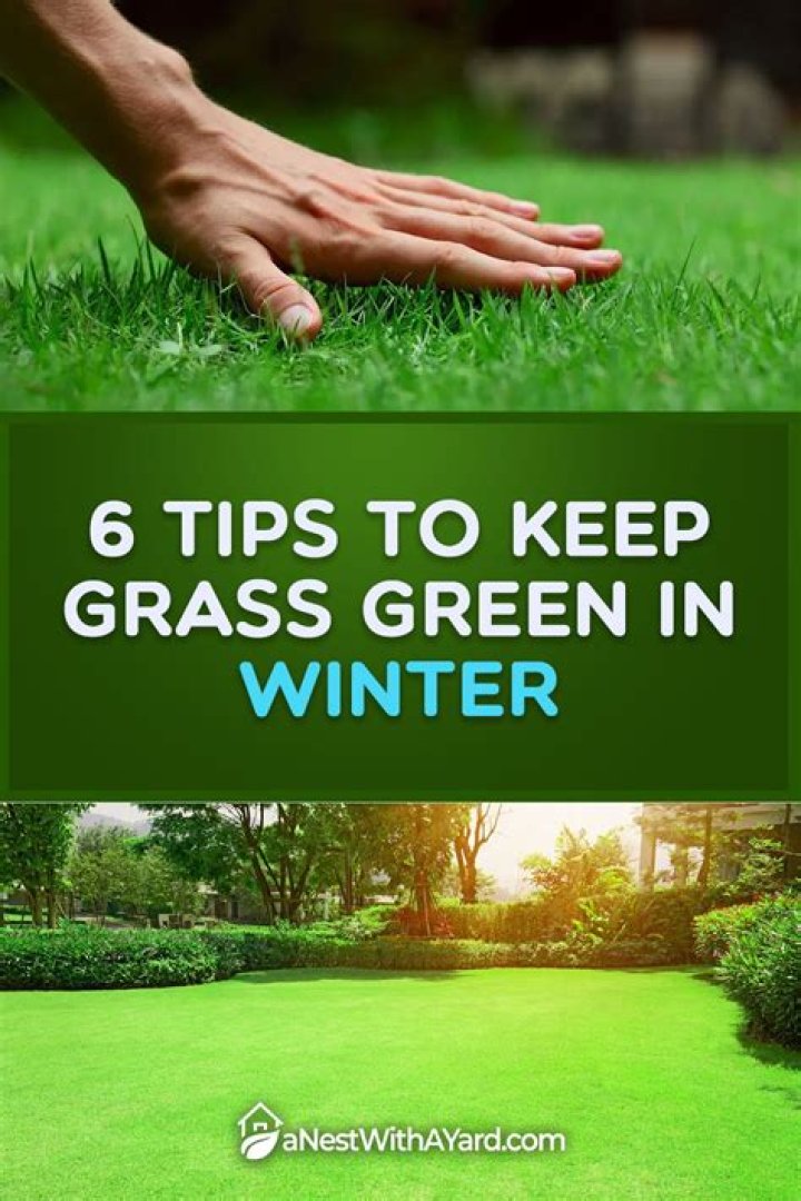 How do I keep my grass green in winter?