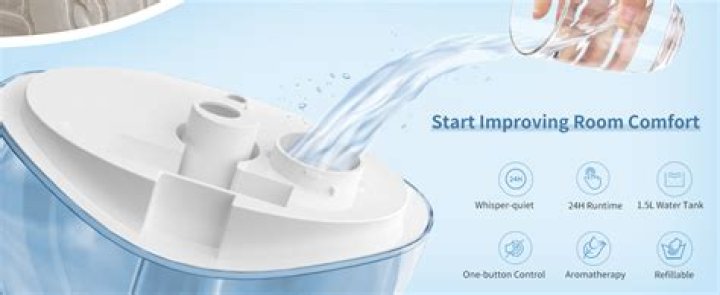 How do I know if my humidifier has mold?