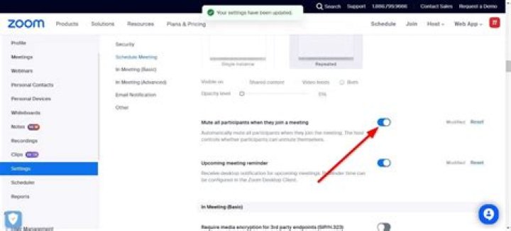 How do I mute a Zoom meeting as a participant?