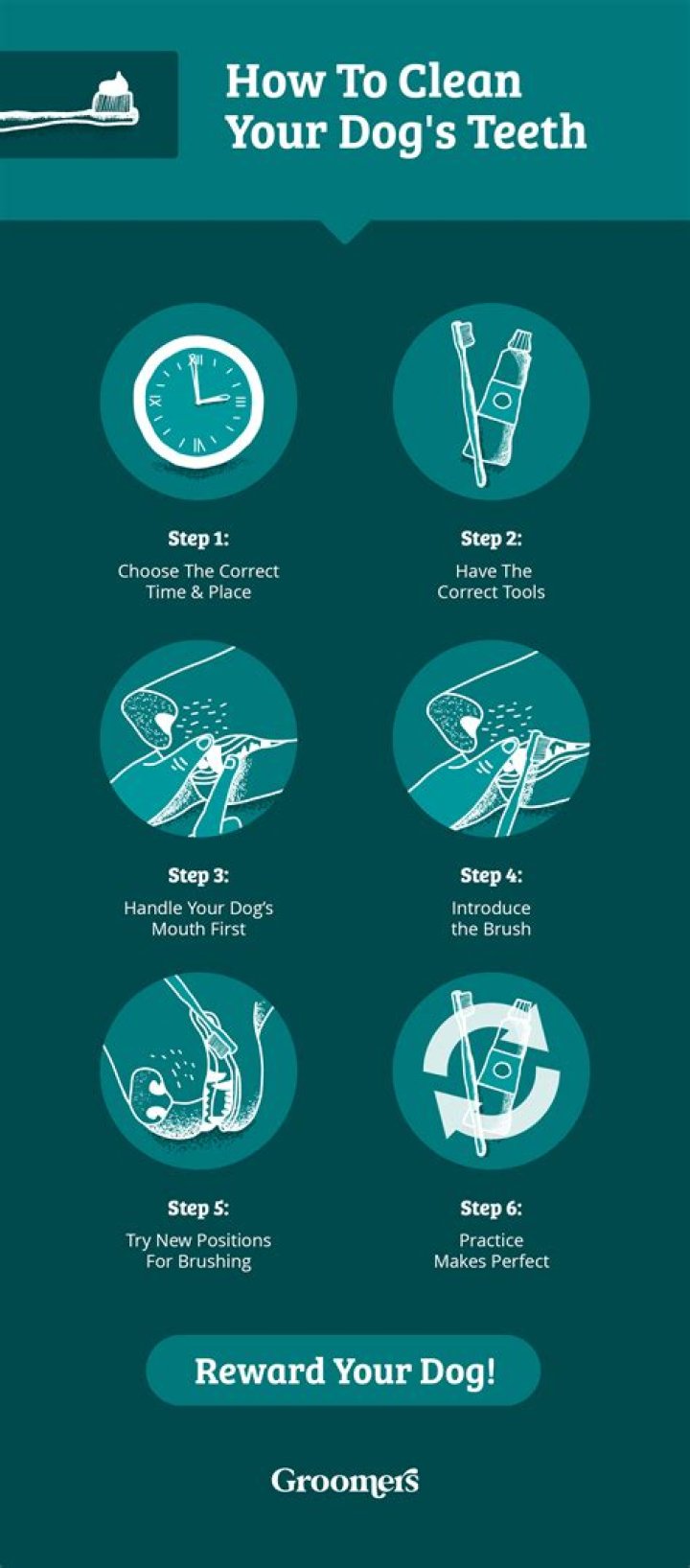 How do I use coconut oil to clean my dog's teeth?