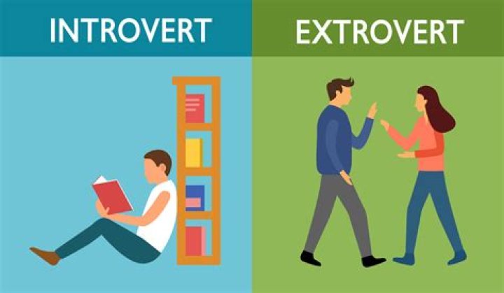 How do introverts deal with students?