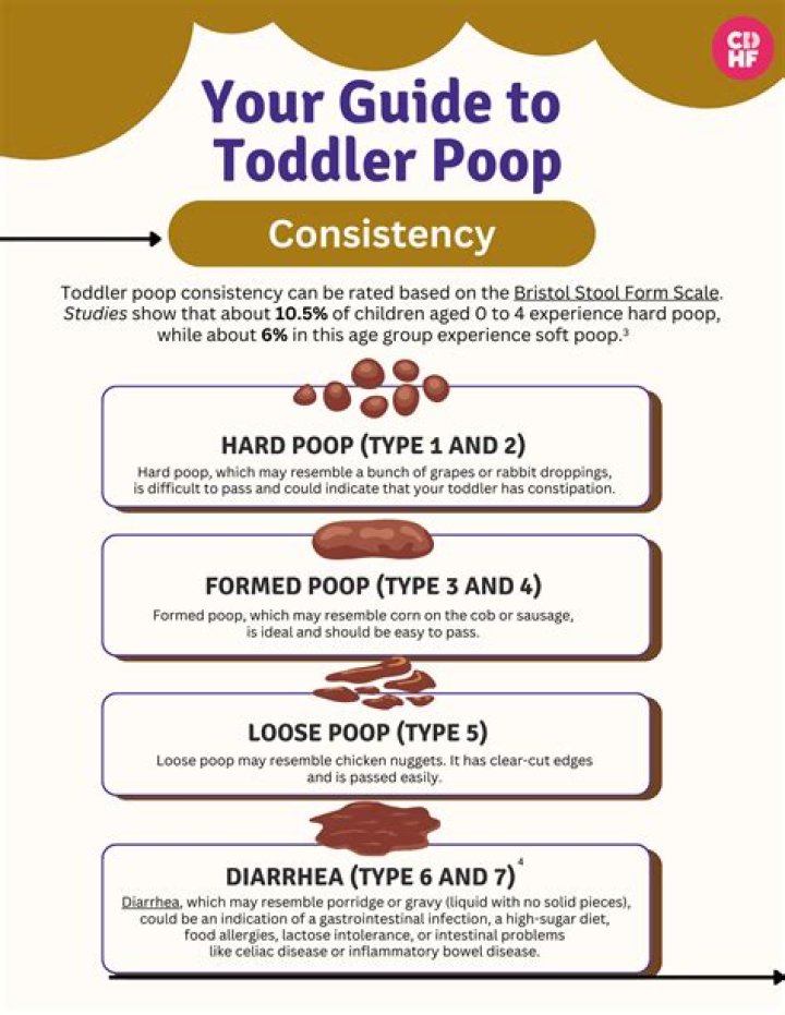How do they poop in Asia?