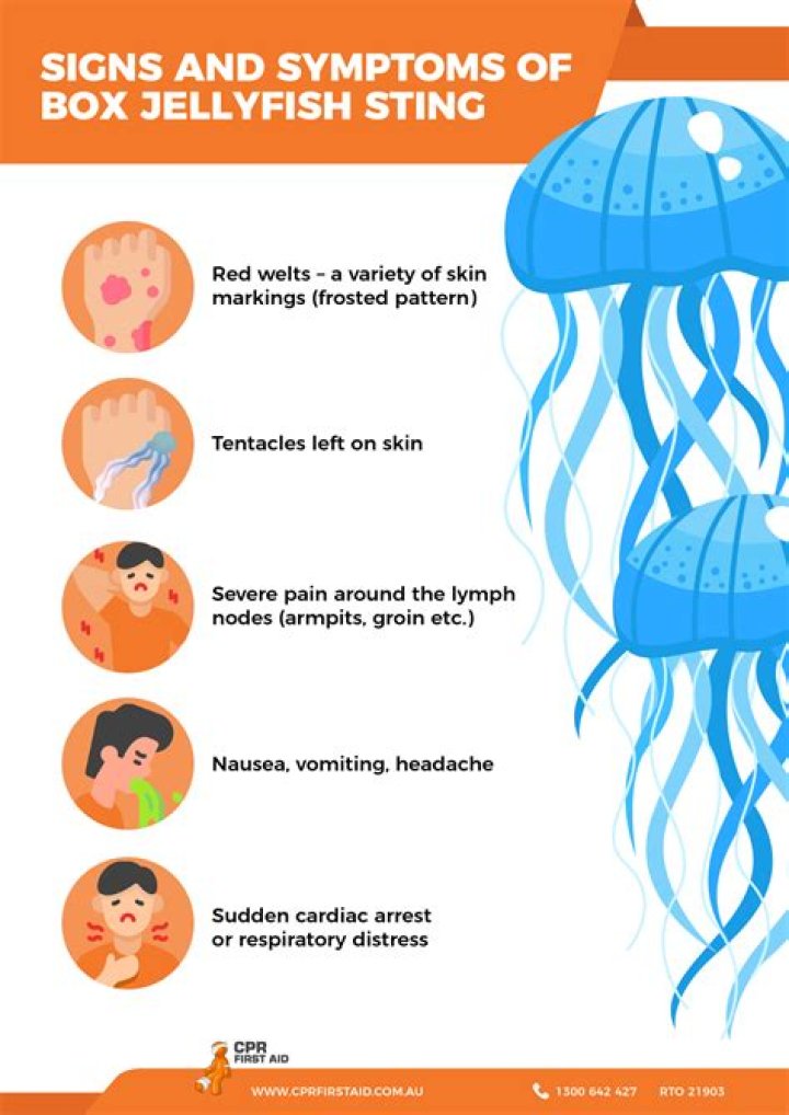 How do you avoid getting stung by a jellyfish?