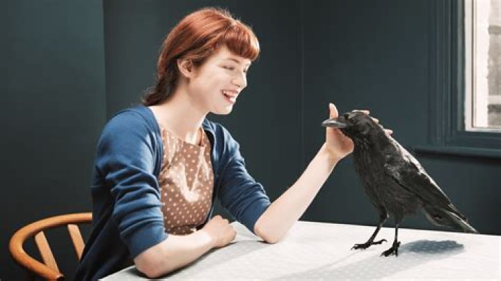 How do you befriend a possum?