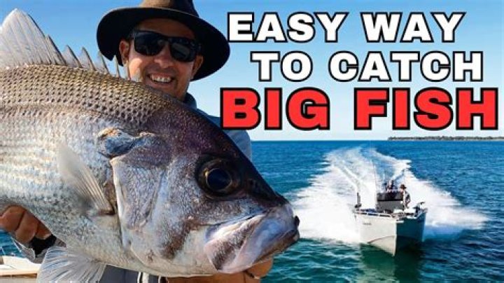 How do you catch fish with Coke?
