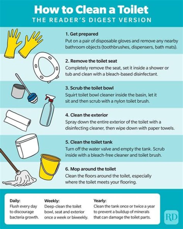 How do you clean a toilet with a septic system?