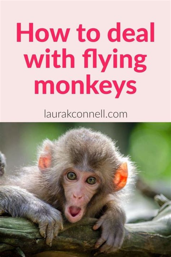 How do you deal with flying monkeys?