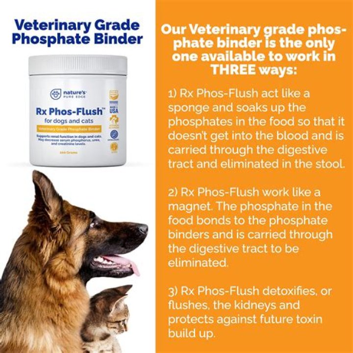 How do you flush a dog's kidneys?