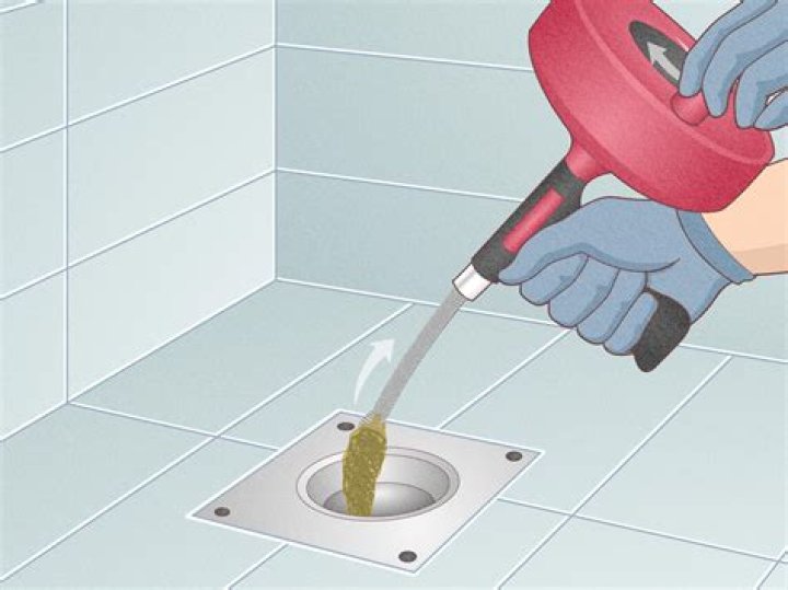 How do you get a snake out of a toilet?