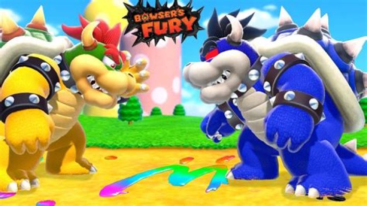 How do you get cat Plessie in Bowser's fury?