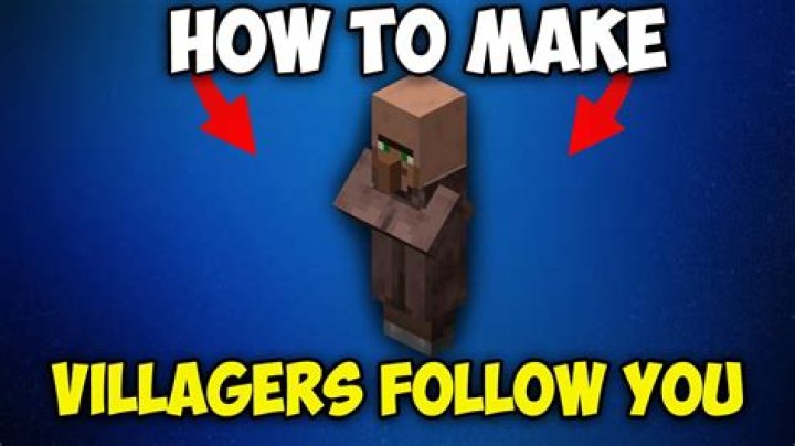 How do you get villagers to follow you?