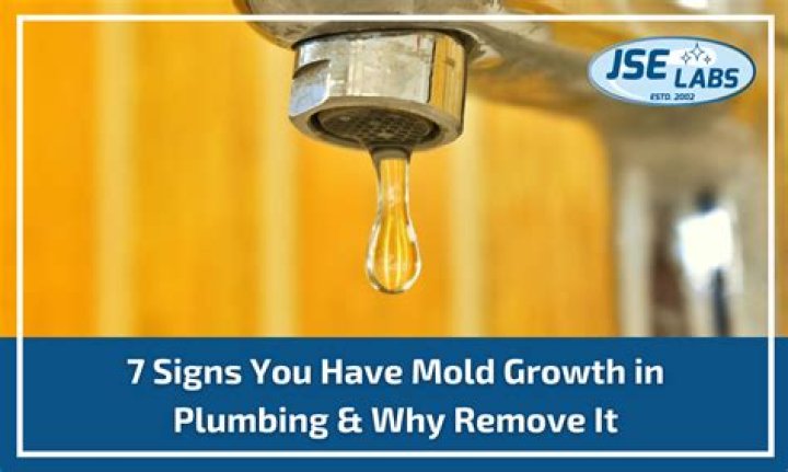 How do you know if you have mold in walls?