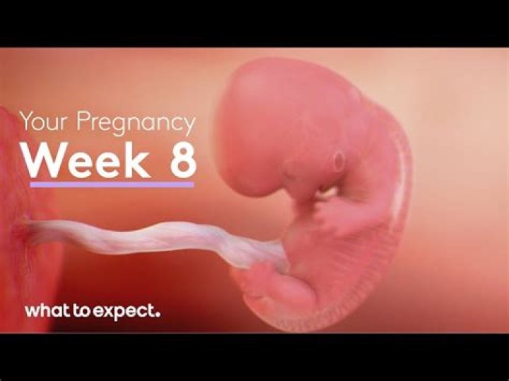 How do you know if your having a miscarriage at 8 weeks?