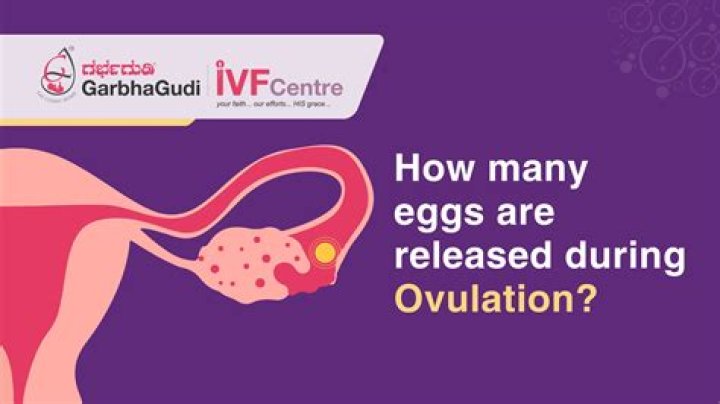 How do you know ovulation ended?